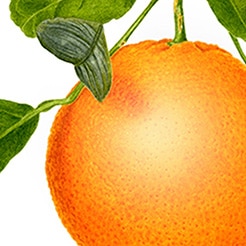 Naranja